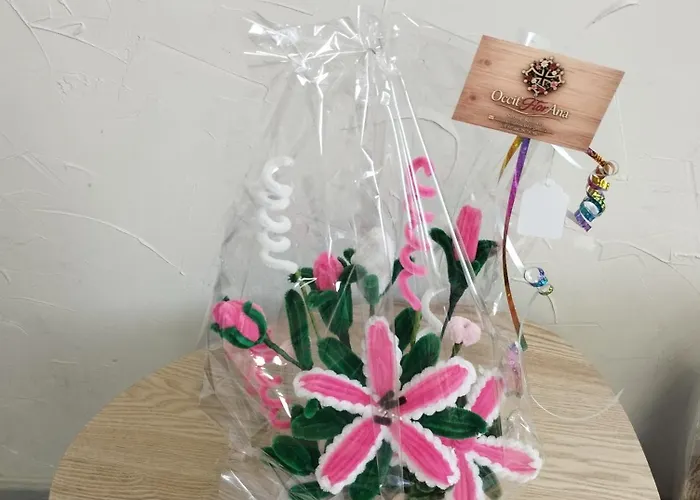 Chez Jérôme, Au Pied De La Cité Médiévale * Carcasona